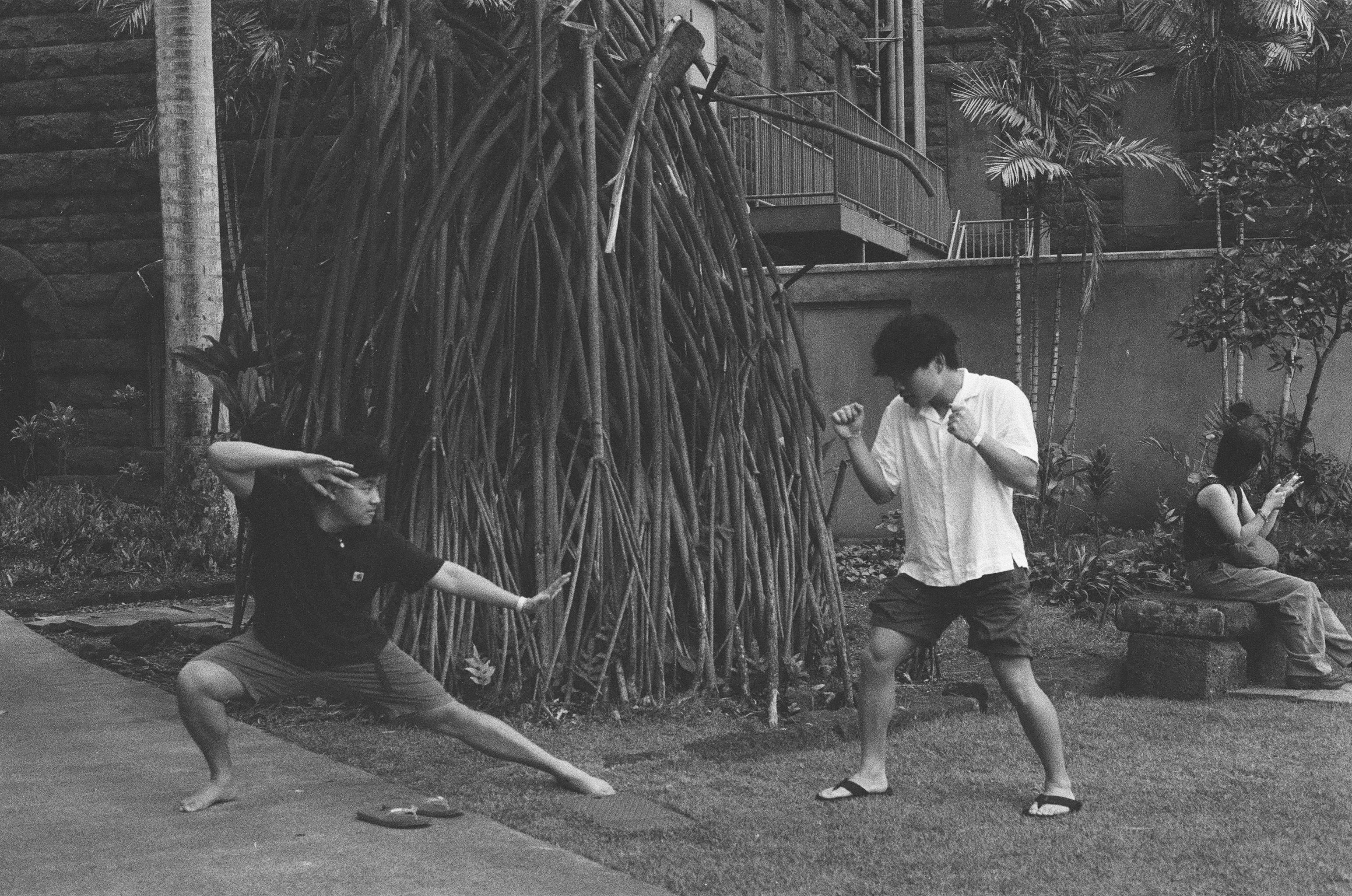 friends sparring in the garden